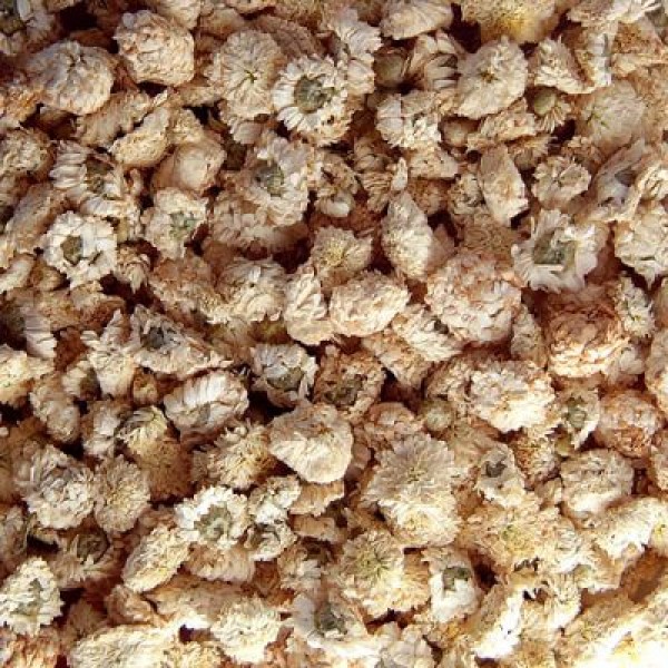 Camomille romaine * Bio 20 g